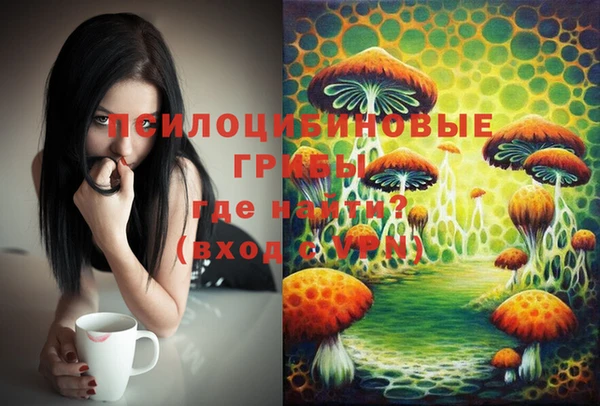 шишки Зерноград